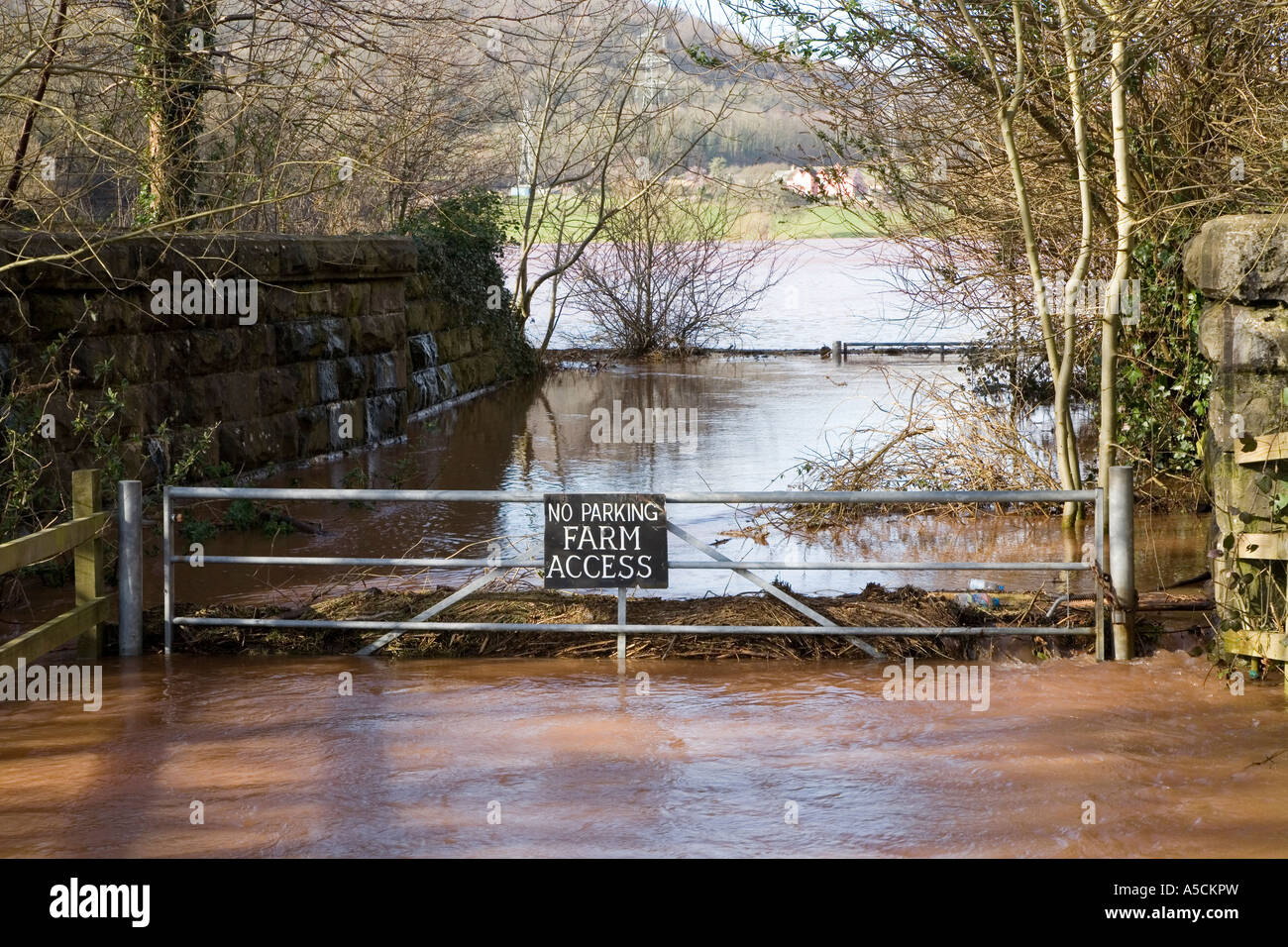 Silt-laden water rushing over a weir on the River Stour Blandford Dorset  England UK Stock Photo - Alamy