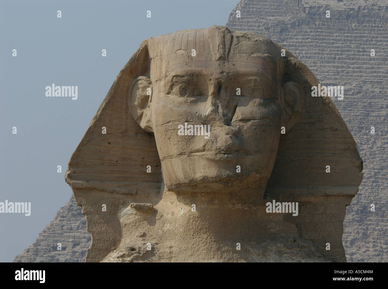 Head of the Great Sphinx in Giza near Cairo, Egypt Stock Photo