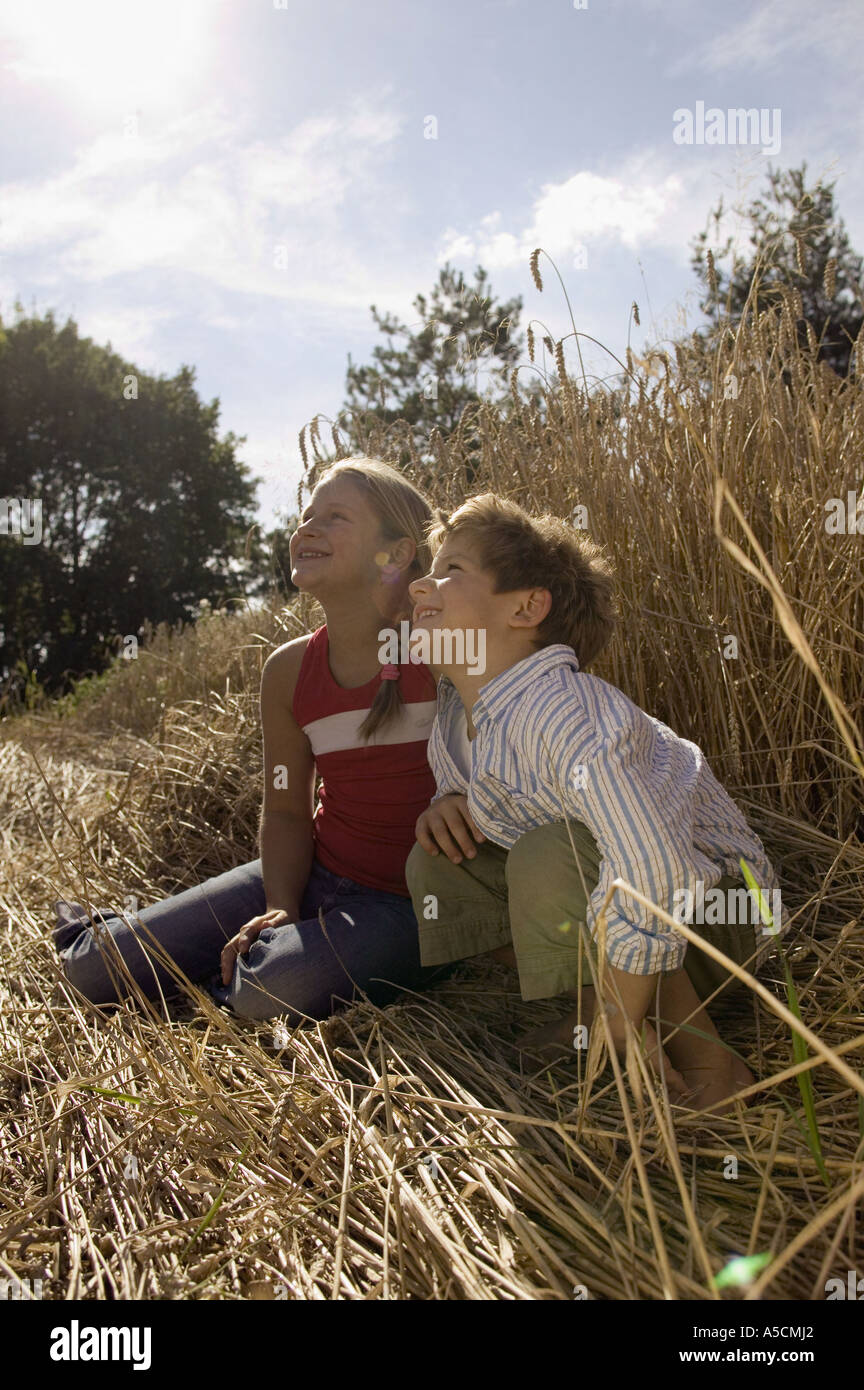 Boy and girl (6-9) sitting in wheat field, looking up Stock Photo - Alamy
