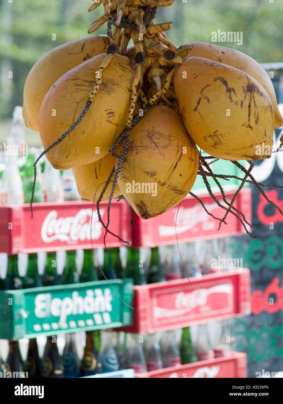 Local Sri Lankan soft drinks vs international brands with coconut water