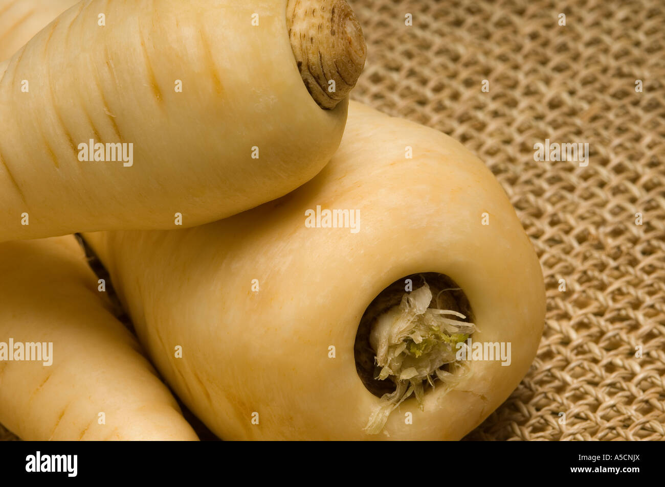 Close up of raw parsnip parsnips pastinaca sativa veg vegetable vegetables Stock Photo