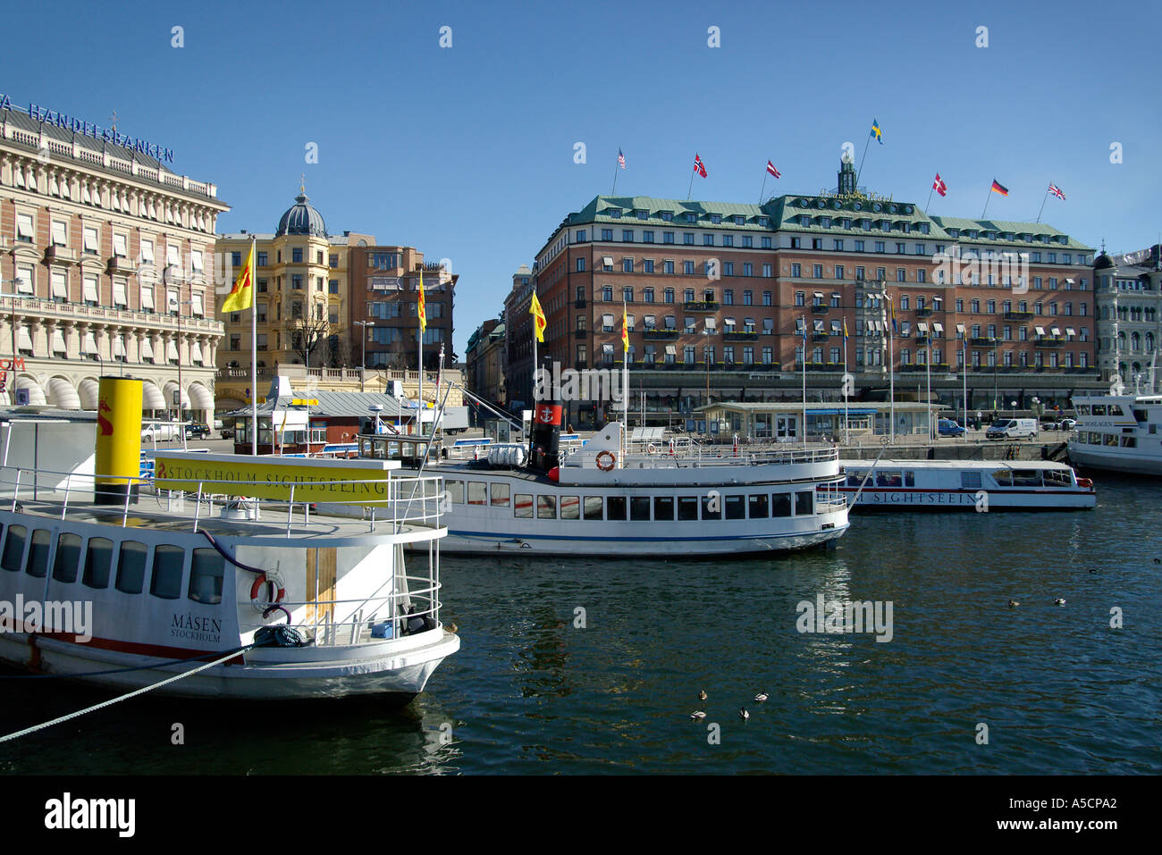 Stockholm bat hi-res stock photography and images - Alamy