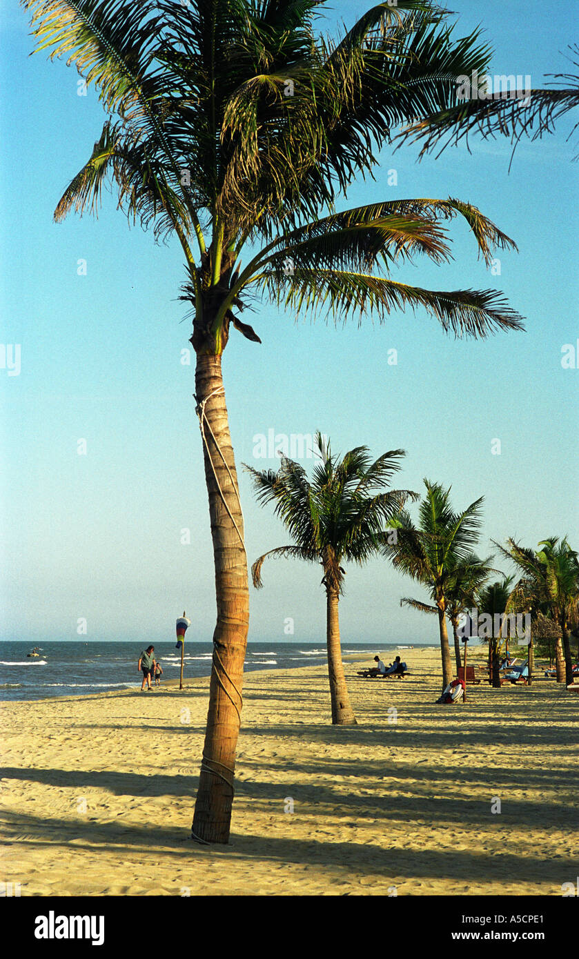 Palm trees line the Victoria Beach Resort Hoi An Vietnam Stock Photo