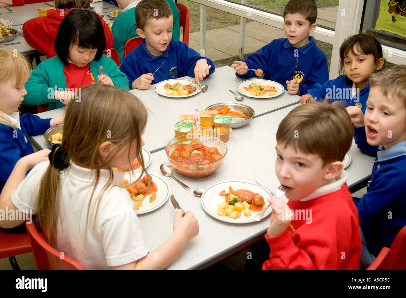 Junior school children eating a healthy lunch Stock Photo
