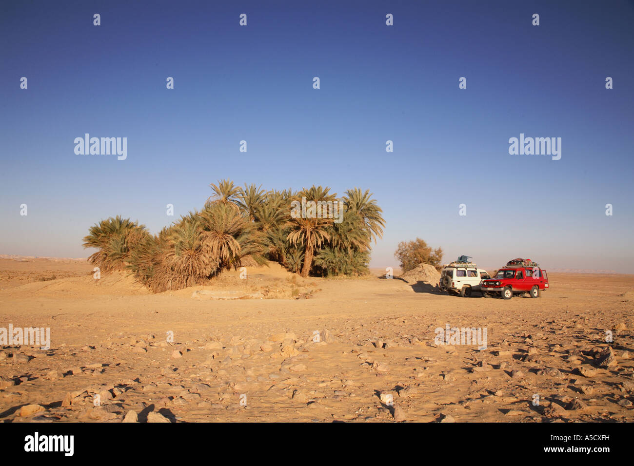Roman Spring, oasis in Western Desert in Egypt Stock Photo - Alamy