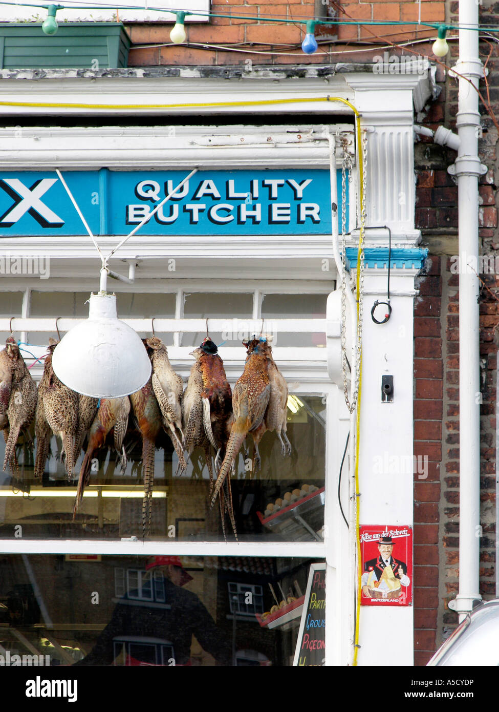 game, birds, gamekeeper, keeper, bird, pheasant, partridge, wild, shot