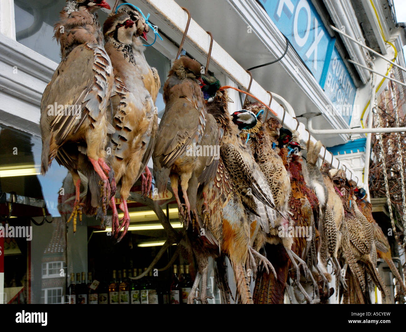 game, birds, gamekeeper, keeper, bird, pheasant, partridge, wild, shot