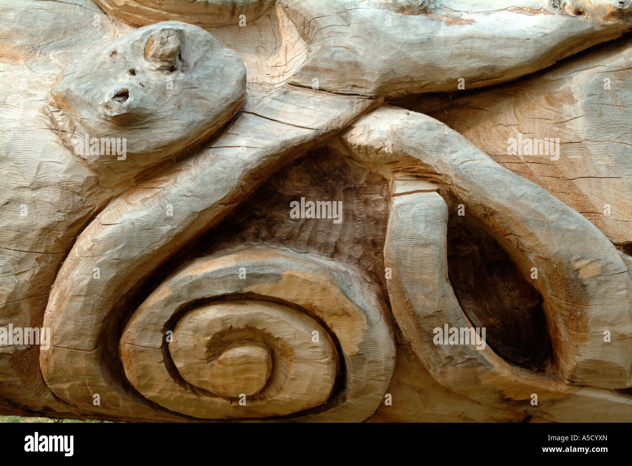 Wood Carving in Gladstone Park near Dollis Hill in North West London Stock Photo