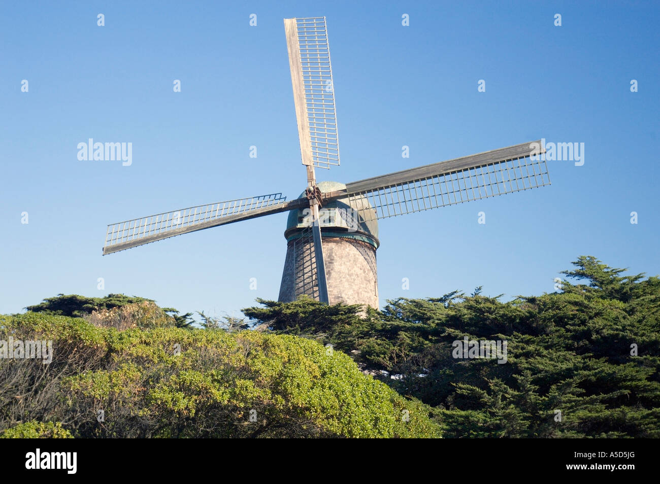 Windmill In The Queen Wilhelmina Tulip Garden Golden Gate Park San Stock Photo Alamy Windmill In The Queen Wilhelmina Tulip Garden Golden Gate Park San Stock Photo Alamy