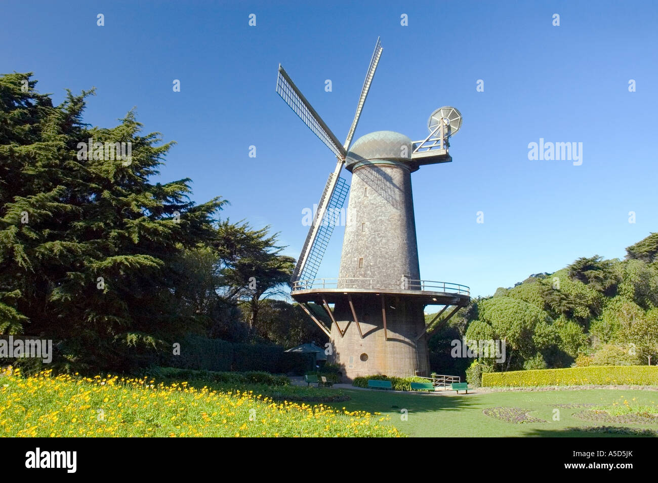 Windmill in the Queen Wilhelmina Tulip Garden Golden Gate Park, San