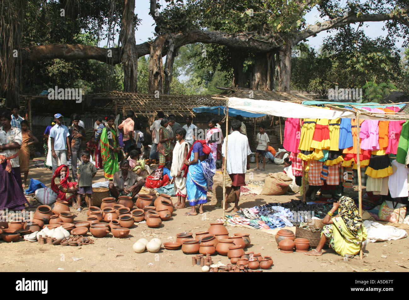 A Desia Kondh tribal weekly  barter market held in  a tabacco growing area of Orissa,India, Stock Photo