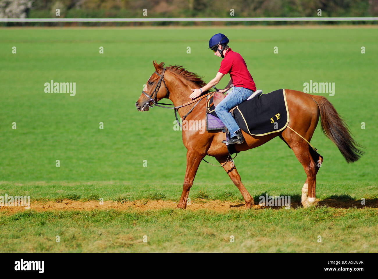 Training track trotting hi-res stock photography and images - Alamy