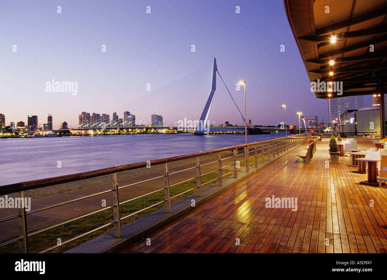 Rotterdam, Erasmus Bridge from Koninginnenhoofd, Netherlands Stock Photo