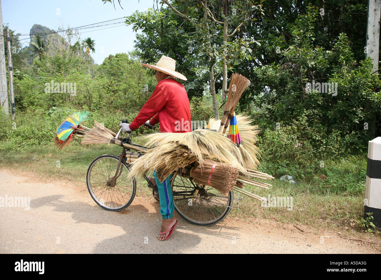 bicycle trader