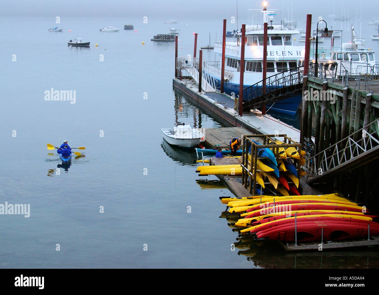 Kayaking in Bar Harbor, Maine Stock Photo Alamy