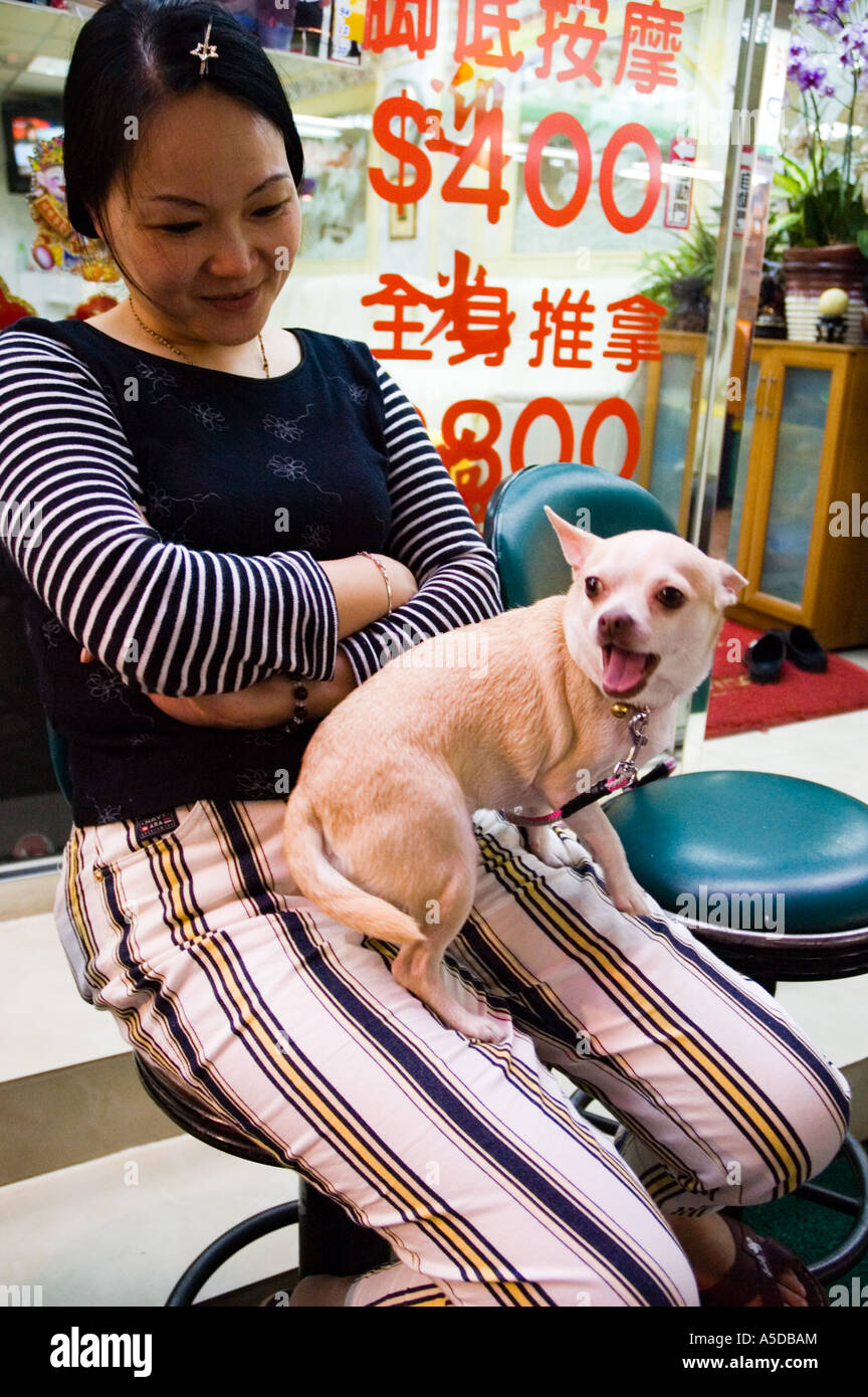 Stock photo of a woman and her small pet dog at the Snake Alley Night Market in Taipei Taiwan Stock Photo