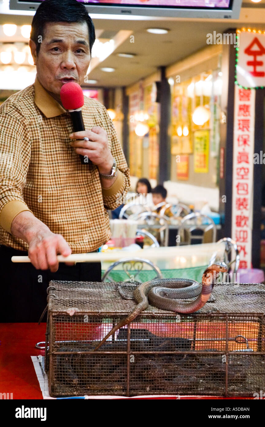 Stock photo of a snake handler with a cobra at the Snake Alley Night Market in Taipei Taiwan Stock Photo