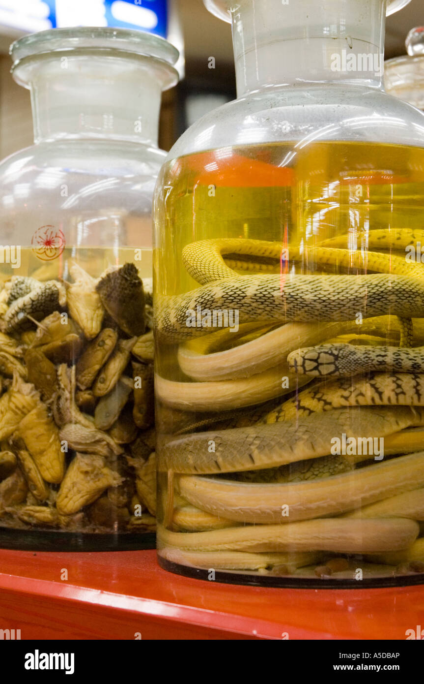 Stock photo of preserved snake remains at the Snake Alley Night Market in Taipei Taiwan Stock Photo