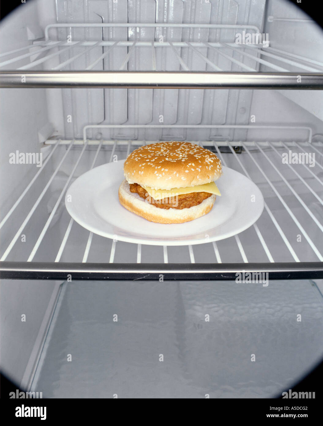 Hamburger in fridge Stock Photo Alamy