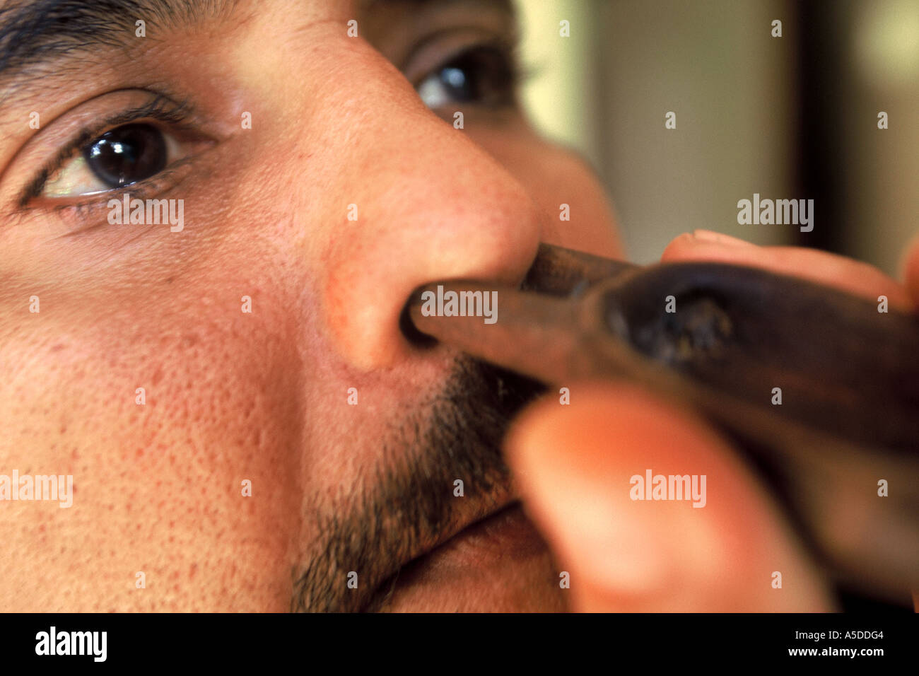 Old ayurveda instrument for the care of nose used by doctor Pilapitiya