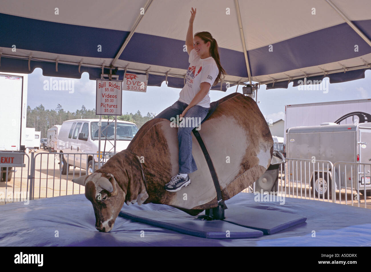 Woman riding mechanical bull at a county fair in Florida USA Stock Photo