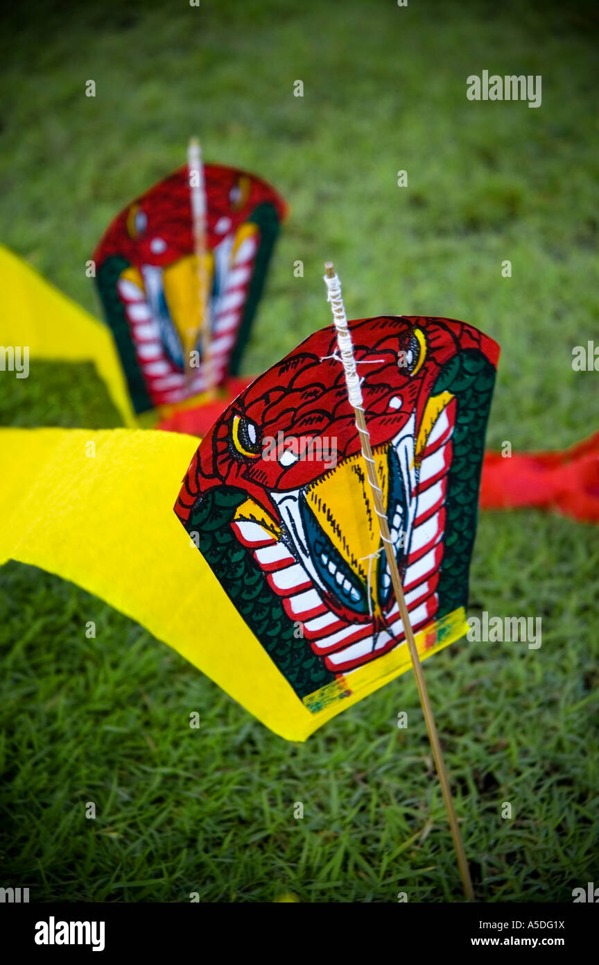 Stock photo of small kites decorated with snake images in the Sanam Luang field in Bangkok Thailand Stock Photo