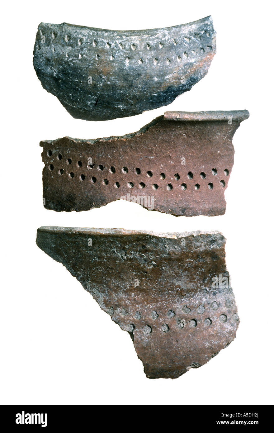 Taino Indian pottery shards Stock Photo Alamy