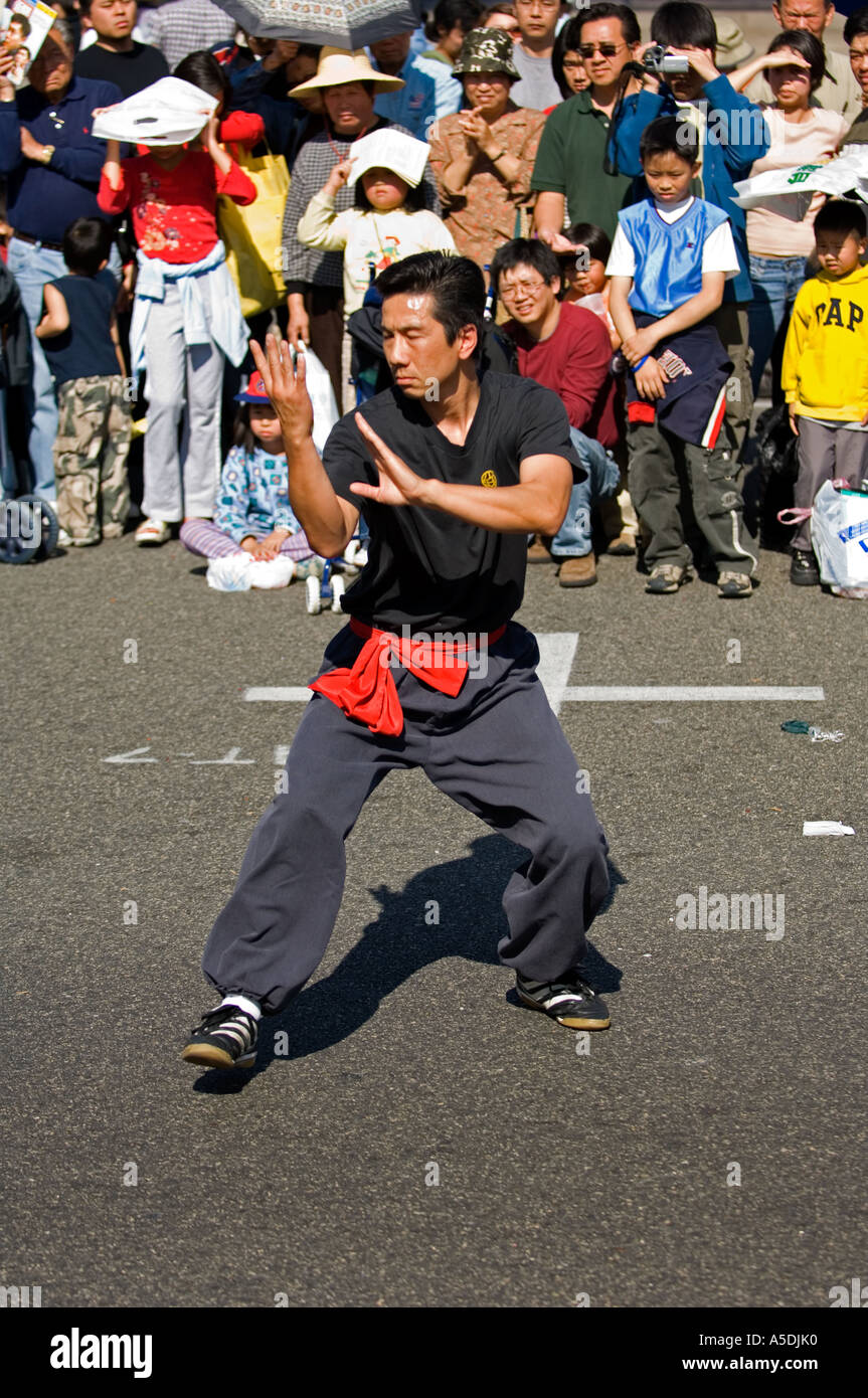 Martial Arts demonstration at the 2006 Chinese Lantern Festival in