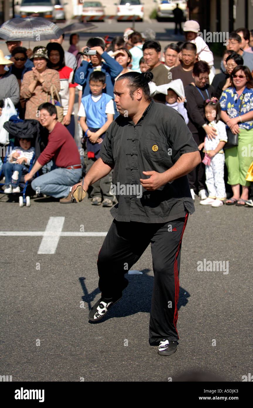 Martial Arts demonstration at the 2006 Chinese Lantern Festival in