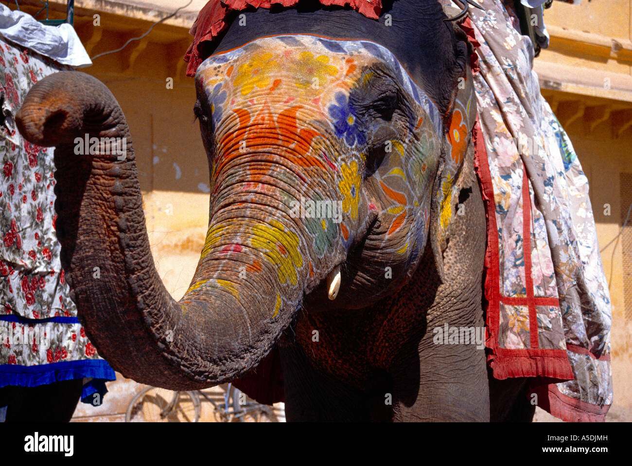 Share 147+ decorative elephant tusks latest seven.edu.vn