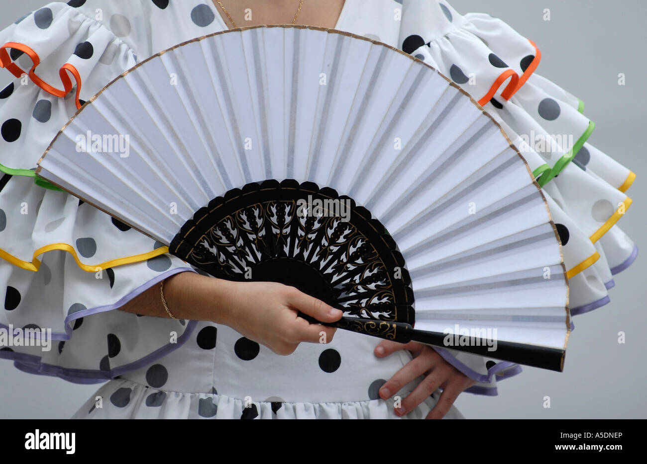 ladies hand held fans