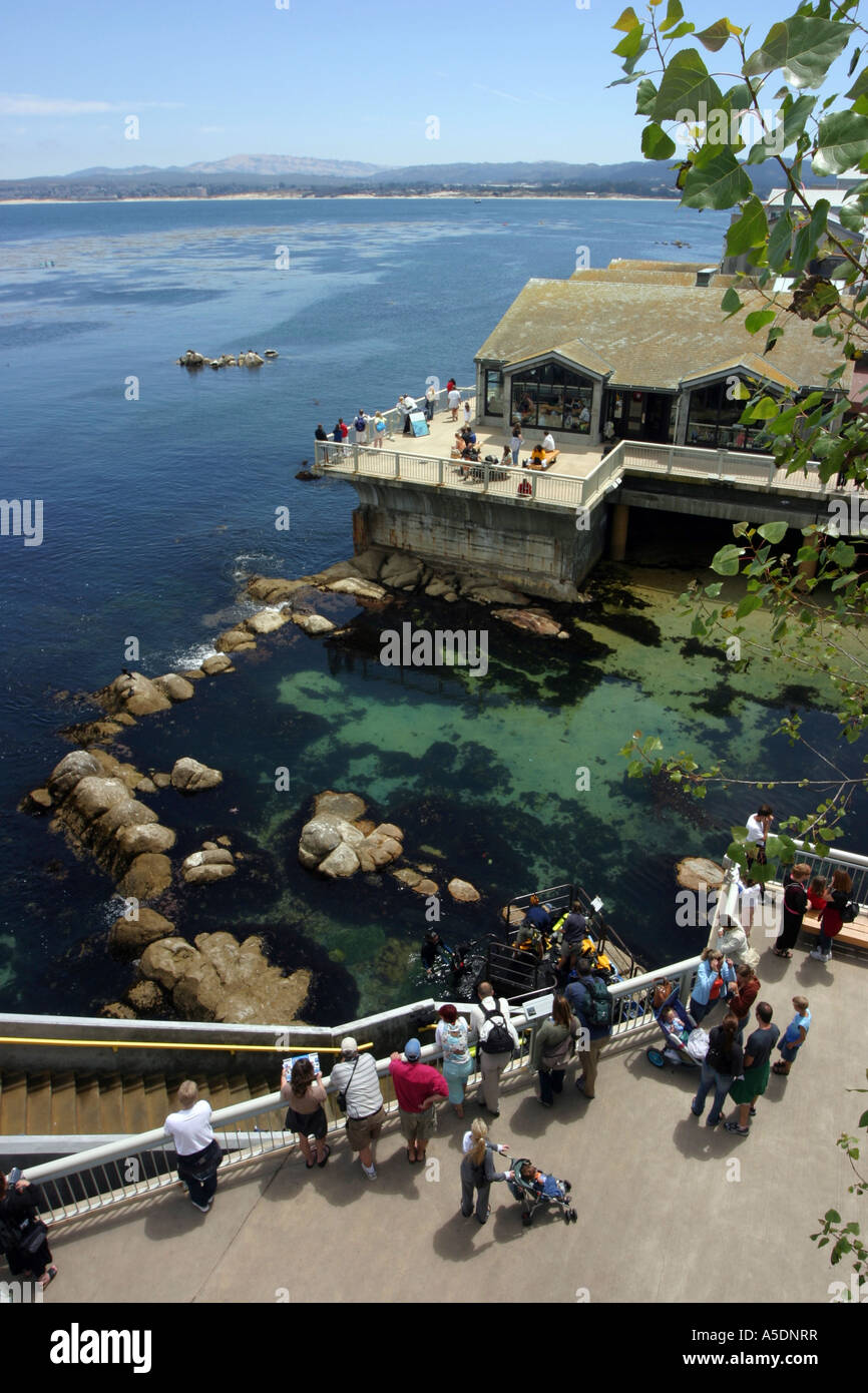 Monterey Aquarium, California, USA Stock Photo Alamy