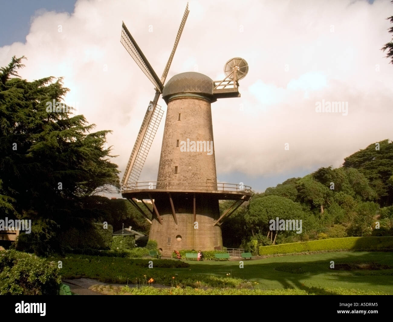 Windmill in the Queen Wilhelmina Tulip Garden Golden Gate Park, San