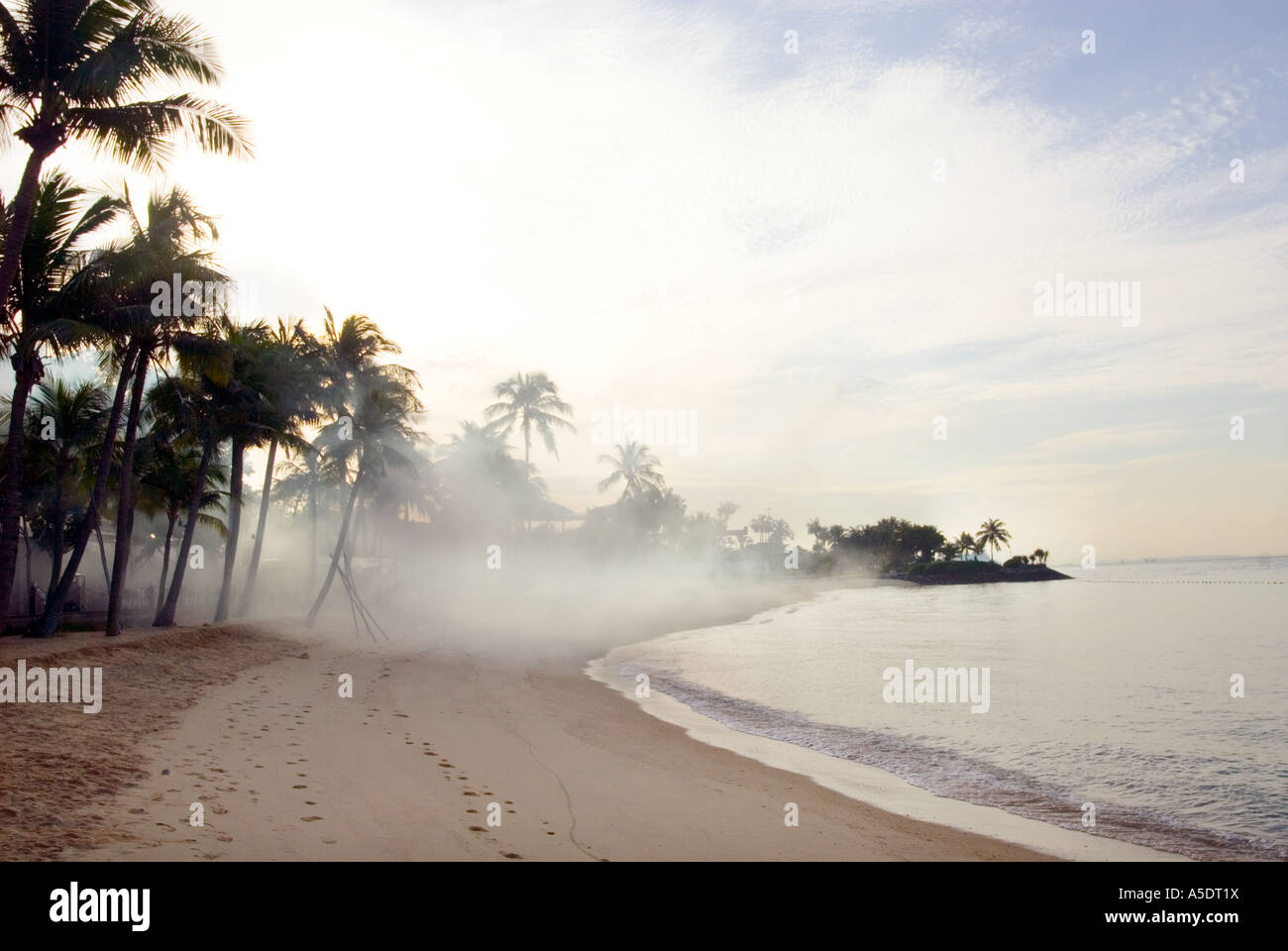 PESTICIDE early morning at SENTOSA island beach SINGAPORE Asia spraying insecticide mosquito- borne viral illness against dengue Stock Photo