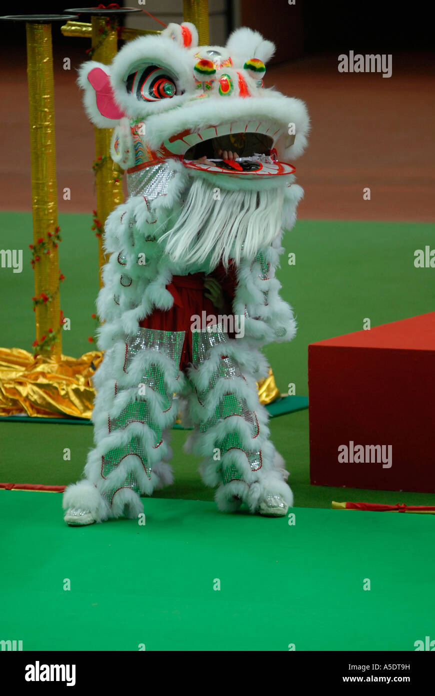 A man performing the traditional Lion dance during Chinese Lunar Year celebrations in which performers mimic a lion's movements in a lion costume Stock Photo