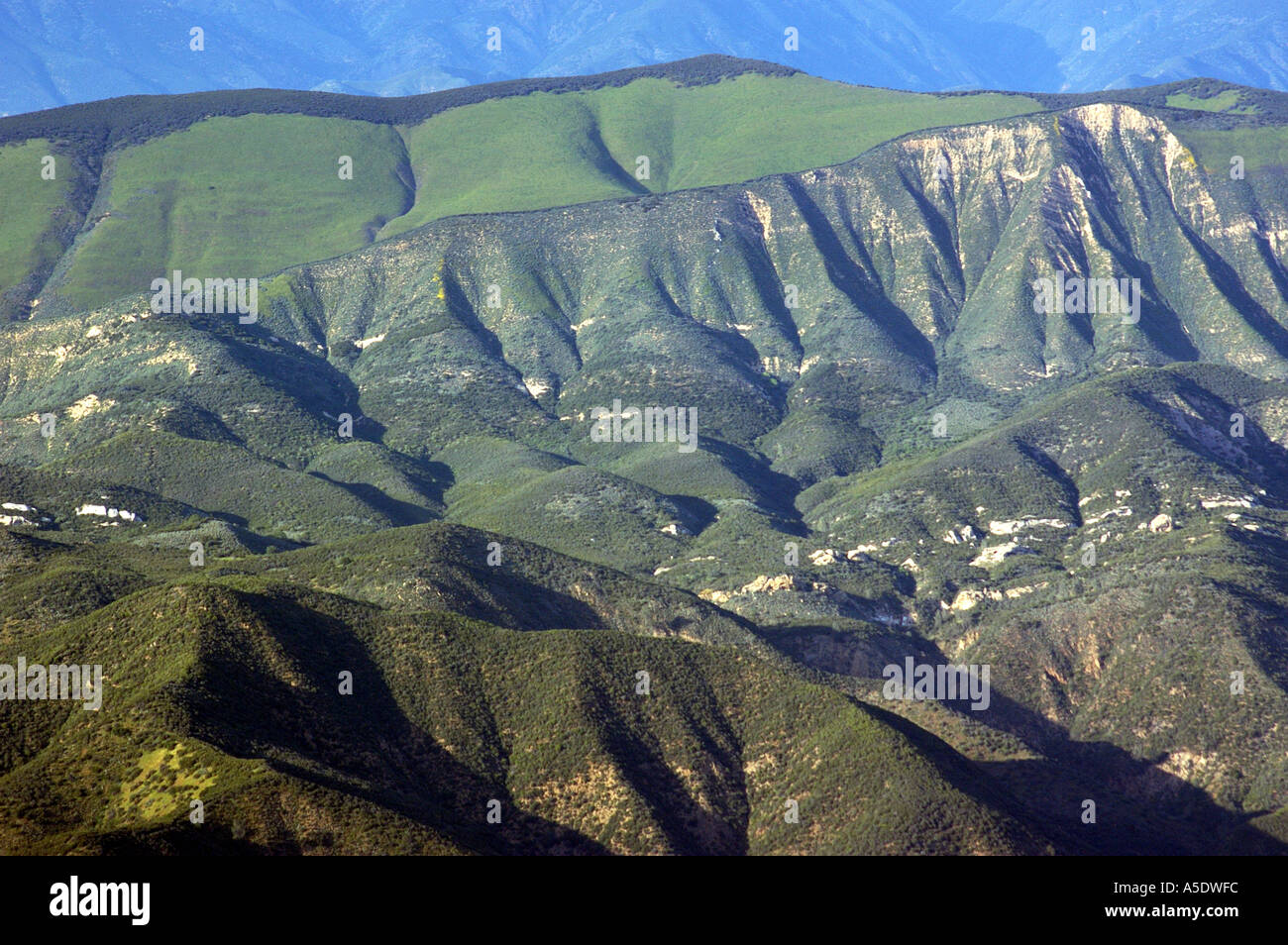 Los Padres National Forest Stock Photo Alamy