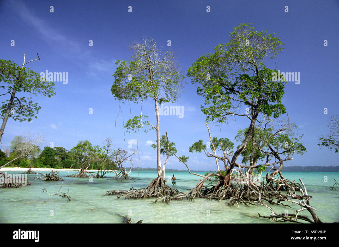 India Andaman Islands Havelock No 4 Village Beach Fisherman In india-andaman-islands-havelock-no-4-village-beach-fisherman-in