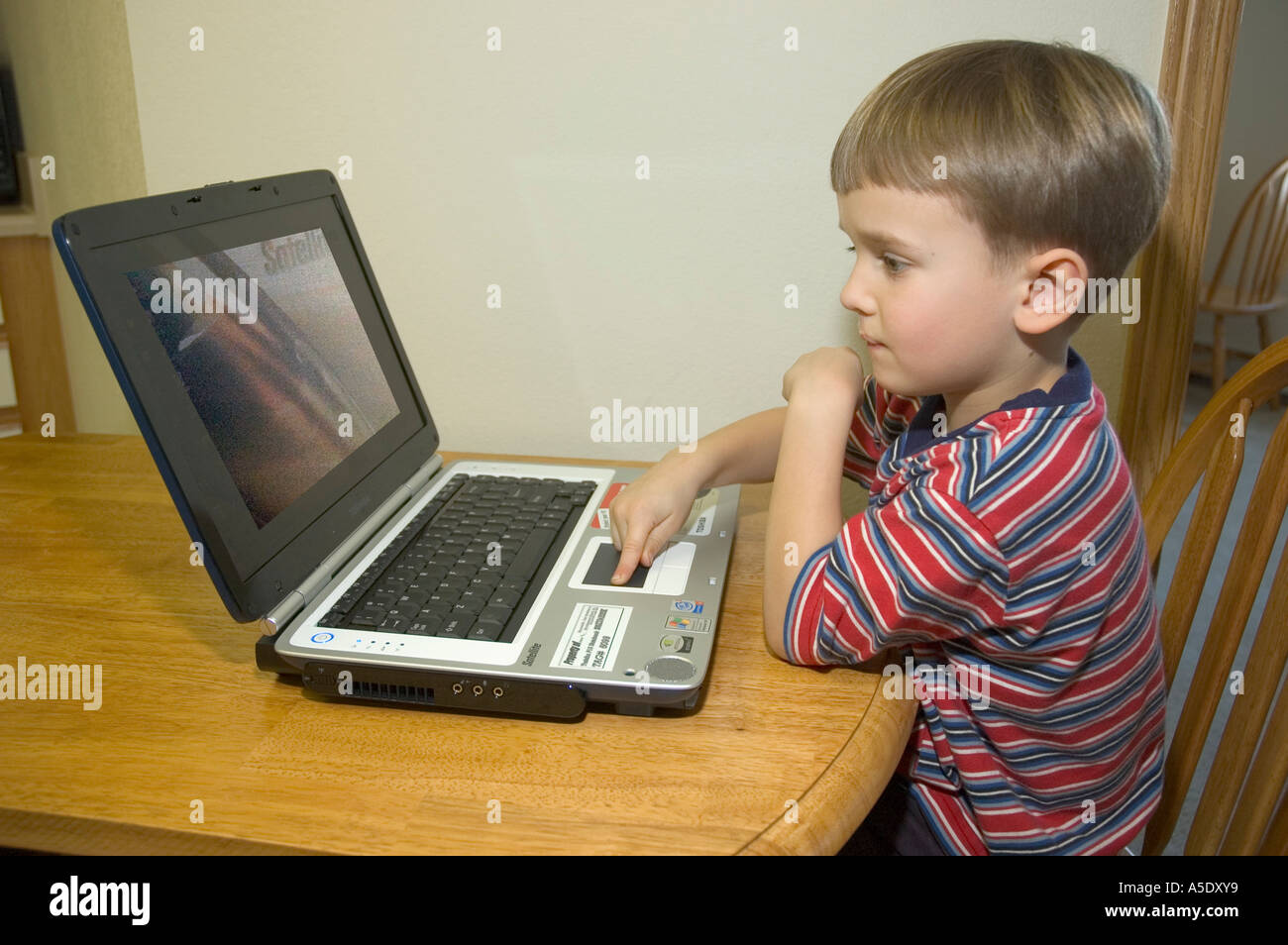 5 Year Old Caucasion Boy Uses Laptop Computer 2 Stock Photo - Alamy