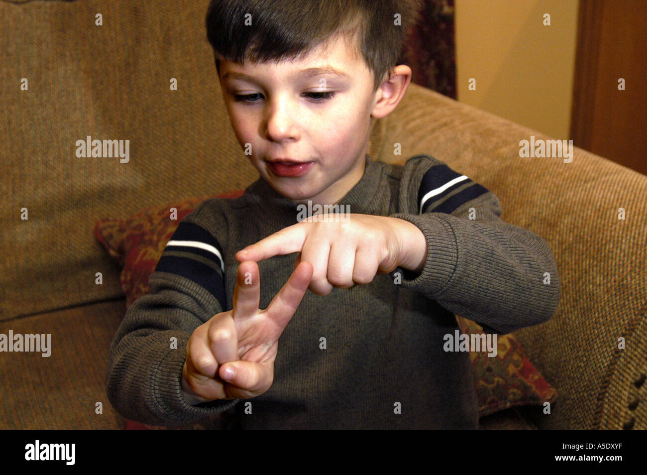 5 year old boy coutning fingers 2 Stock Photo Alamy