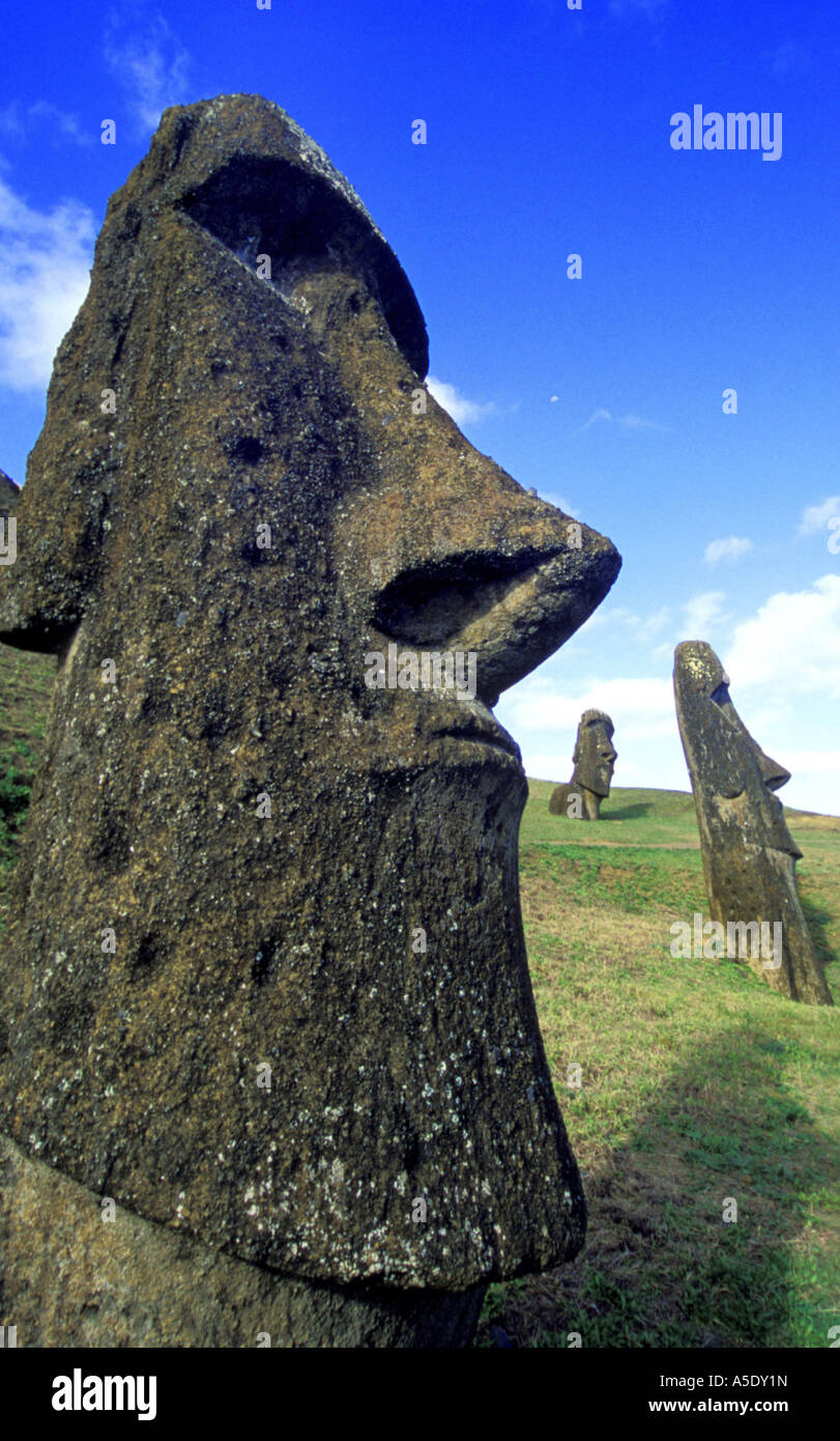 Moais sculpture on Easter Island, Chile, Easter Island, Nationalpark