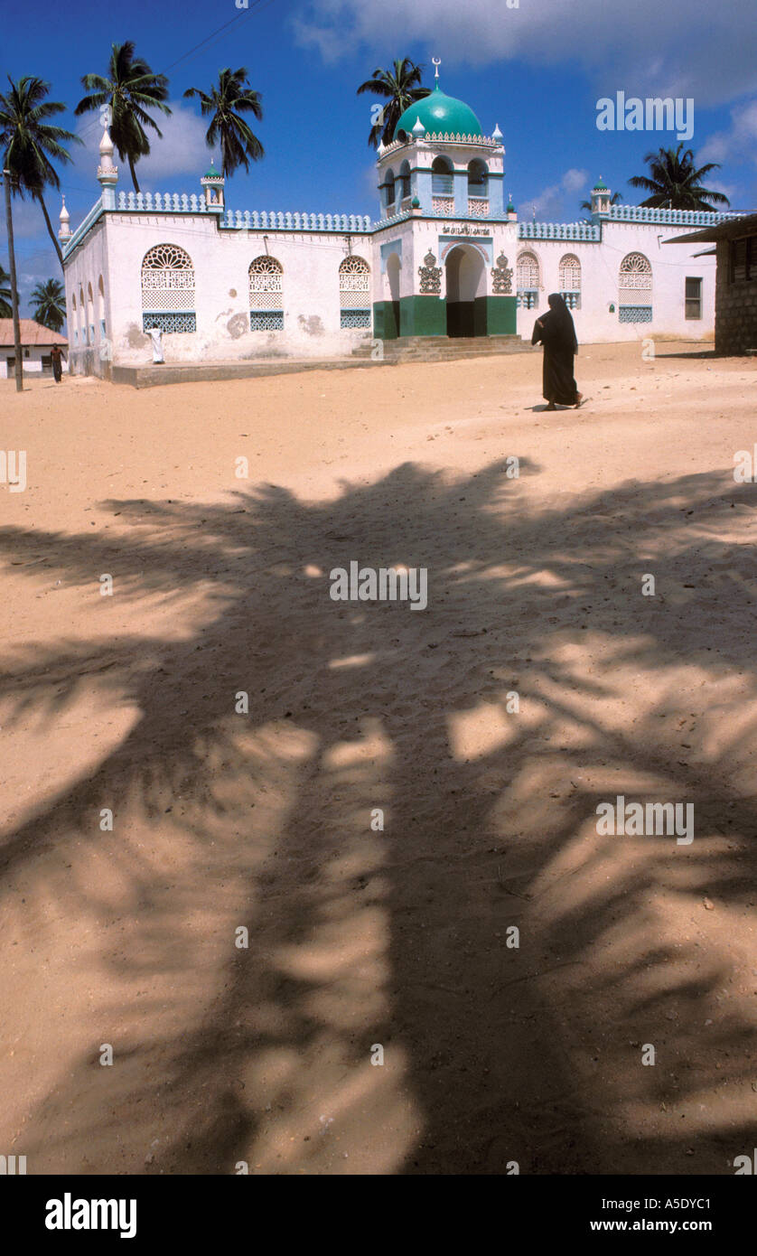 Palm tree creates a crazy creature shadow with eyes ears and mouth outside a mosque in Lamu Kenya Stock Photo