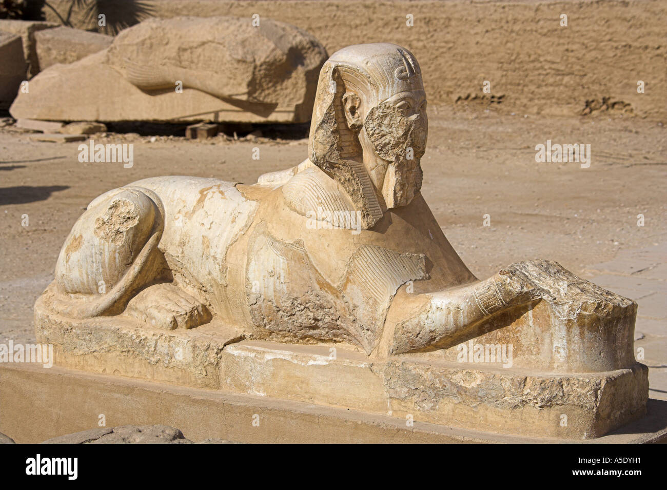Stone Sphinx, Temple of Karnak, Luxor, Egypt Stock Photo