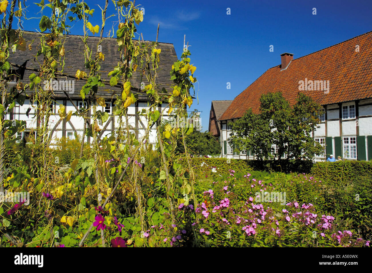 Rural garden in open air museum hi-res stock photography and images - Alamy