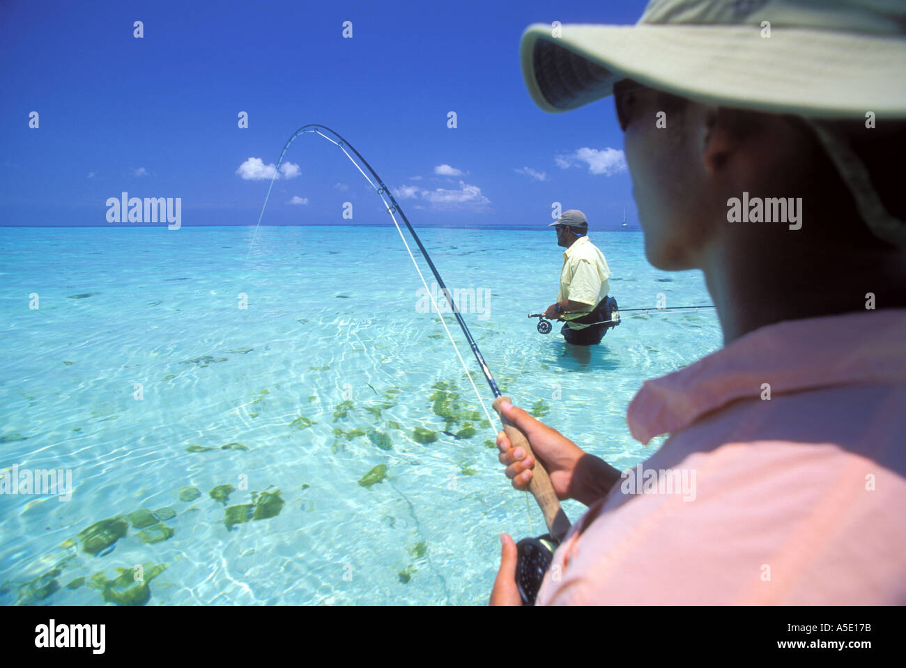 Fly fishing for bonefish in Belize Central America Caribbean Stock