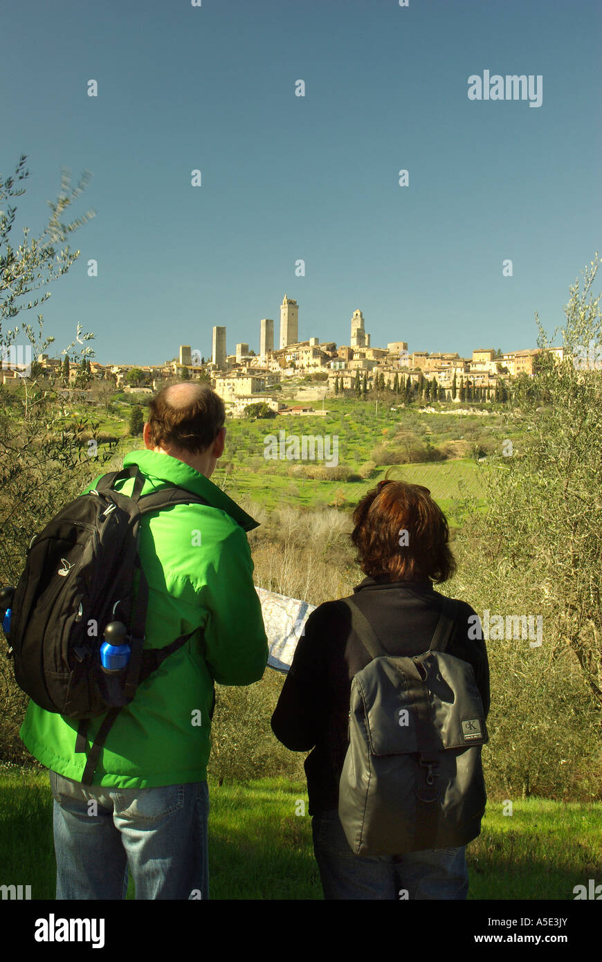 San Gimignano Couple consult map in olive grove Tuscany Italy vertical Stock Photo