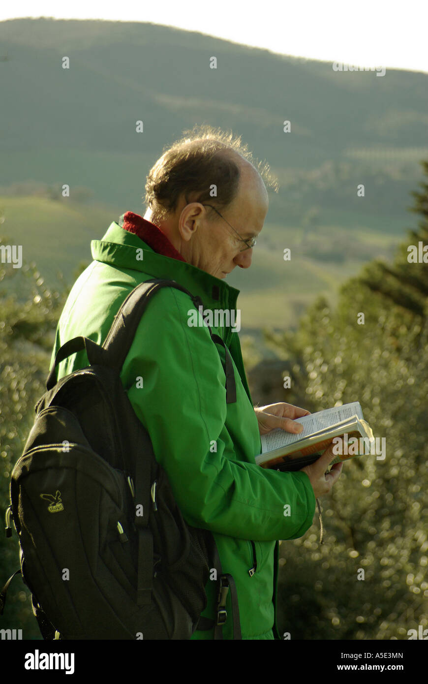 Backlit man in green jacket glasses backpack reads guidebook against the landscape of Tuscany Italy Rough Guide vertical Stock Photo