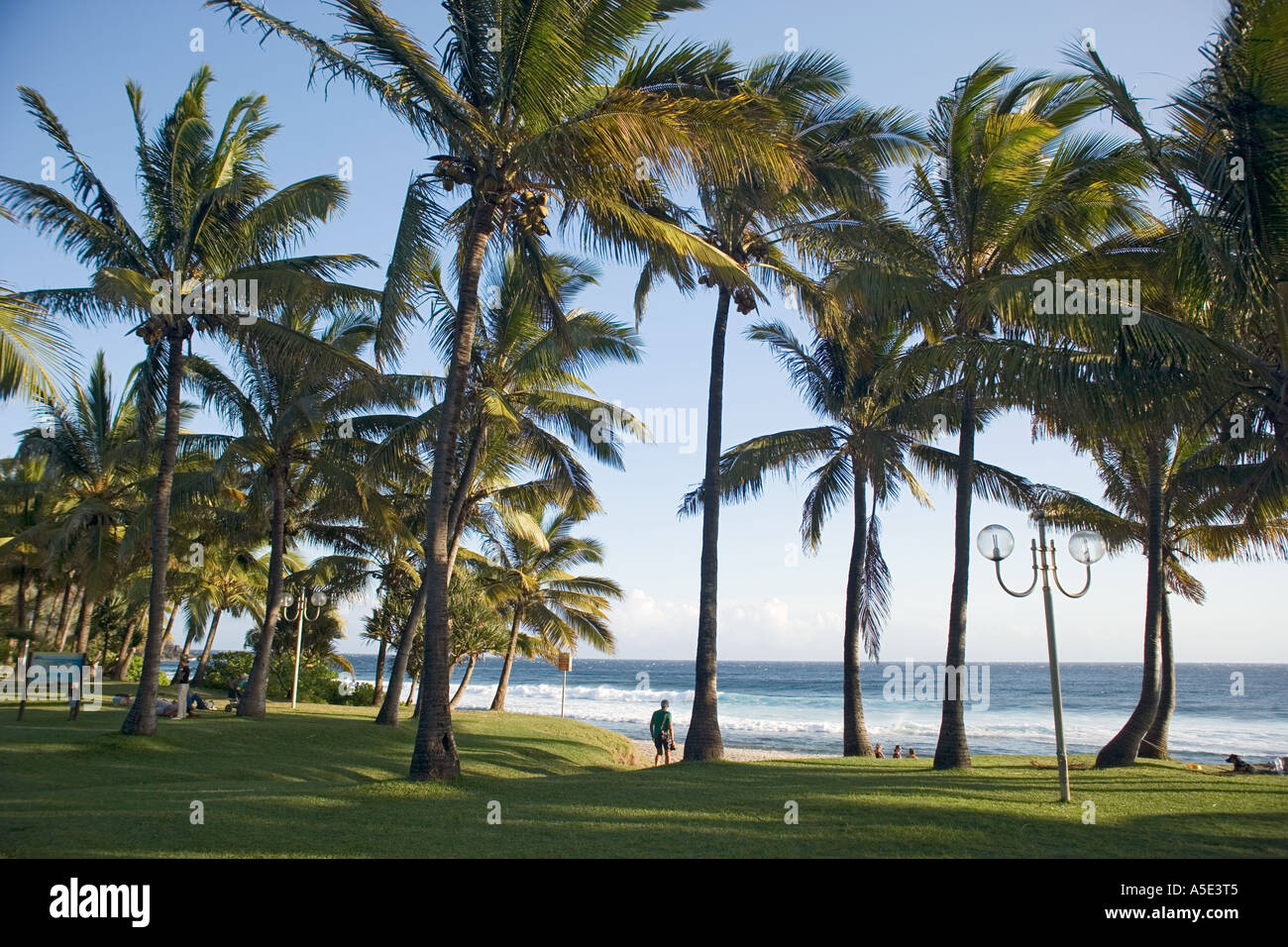 Grande Anse, Reunion Island Stock Photo Alamy