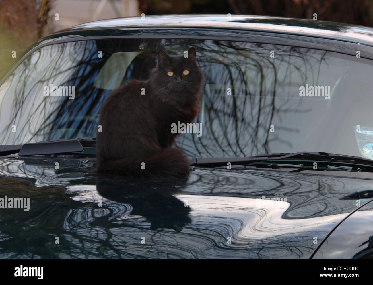Sitting on the car hires stock photography and images Alamy