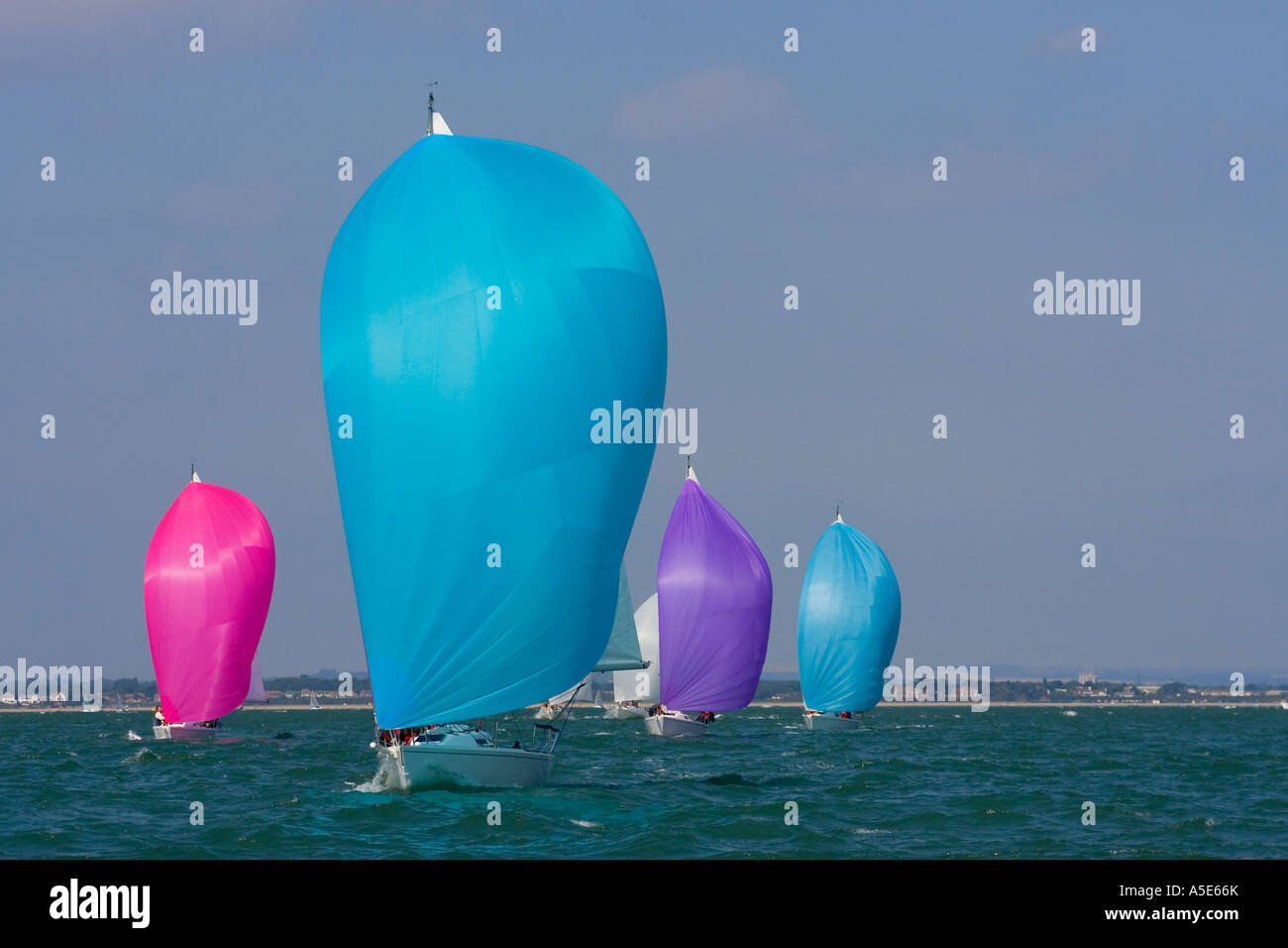 Yachts racing with coloured spinnakers raised Stock Photo