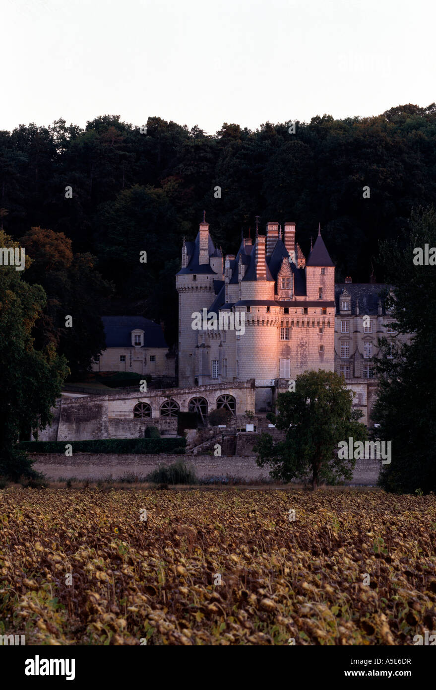 Ussé, Schloß, Blick von Norden Stock Photo